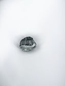 Colorado Sterling Silver Spoon Ring (Only 1 Available)
